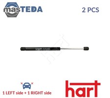 810 263 TAILGATE BOOT STRUTS