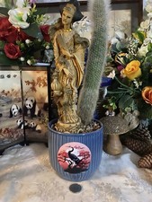 Xtra Large Cacti, In A Free