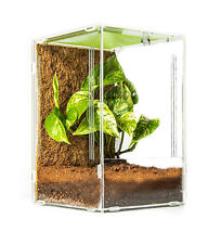 Mantis Den 2.0 Large Enclosure 19x19x29cm Mantis/spider Terrarium