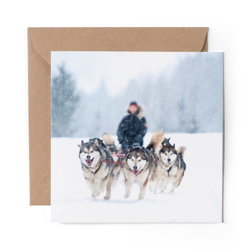 Blank greeting card - x,