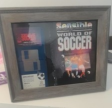 Sensible World of Soccer 92/93