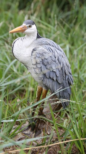 Standing heron garden - standing,
