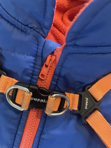 Puppia blue and orange dog - puppia,