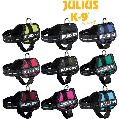 Julius strong adjustable - strong,