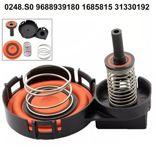 Repair kits for hdi 8v - 1.6,