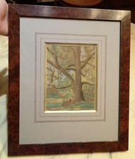 1934 FOREST Nature Cesneau