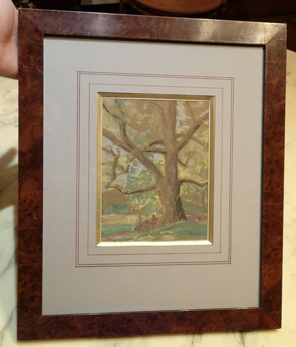 1934 forest nature cesneau - 1934,