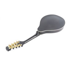 Adjustable 8 String Electric A