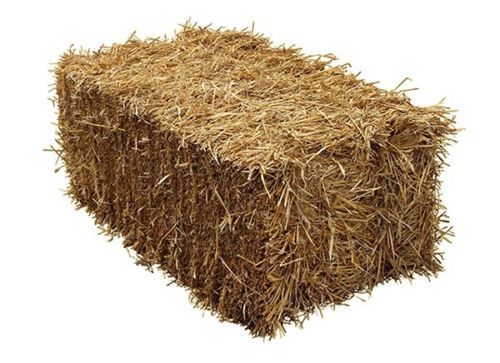 Handy size barley - handy, bale