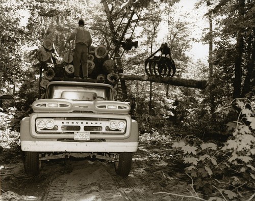 Logging with chevy - logging,