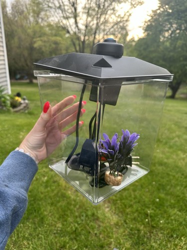 Micro beta fish tank with