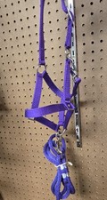 Miniature Horse Halter & Lead Combo