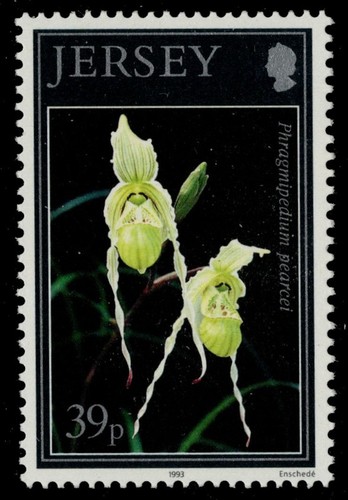 Jersey 629 orchids - -,