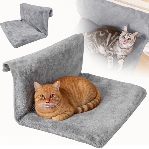 Cat radiator bed - radiator, bed,