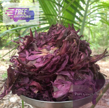 Dried Red Lotus / Red Olu Nymphaea caerulea Natural Flowers Herbal Tea Ampla **
