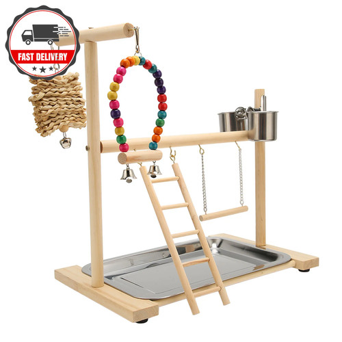 Parrot bird wooden playground - parrot,