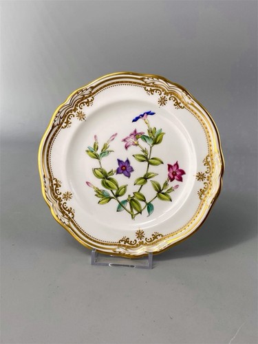 Spode stafford flowers - spode,