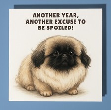 Pekingese dog  - Happy