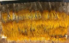  Yellow Golden Pheasant Breast Super Selected Feathers Gordon Griffiths