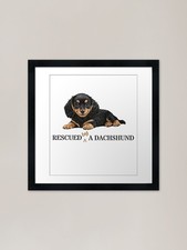 Dachshund Puppy Gift: Rescued