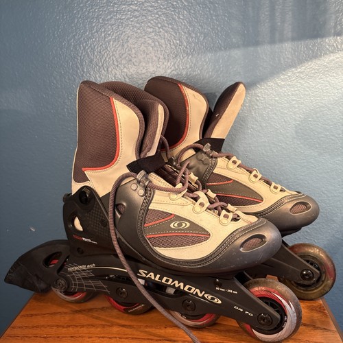 Women salomon energyzer - women’s,