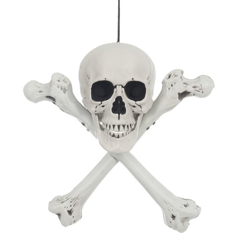 Lifesize hanging skull - lifesize,