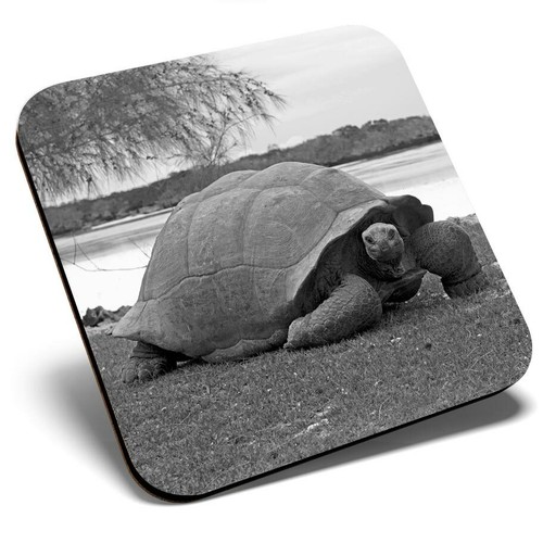 Square single coaster - bw,