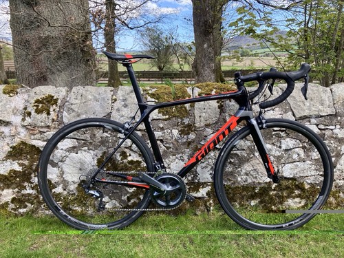 Giant tcr advanced - giant,
