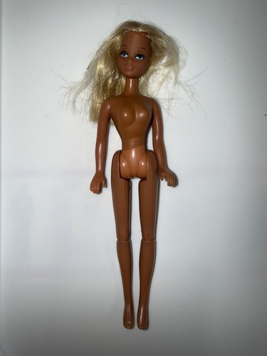Vintage 1970 palitoy - vintage, pippa