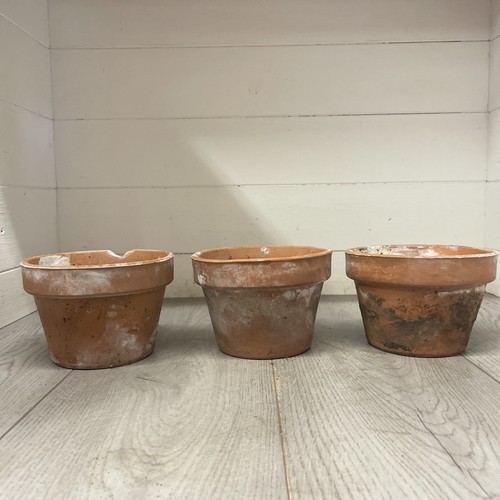 Vintage terracotta pots 15cm - 3,