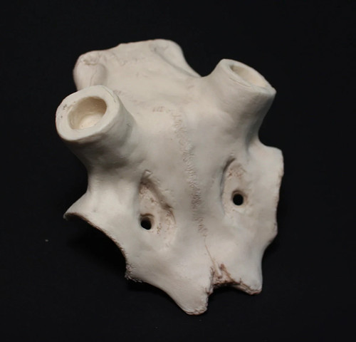 Deer replica partial - , kit