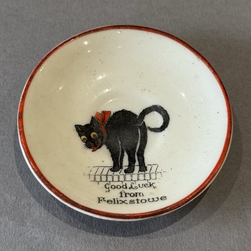 Crested black cat china - cat,