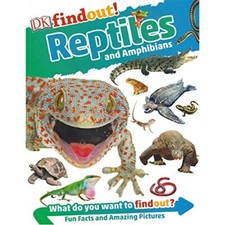 Findout! Reptiles And