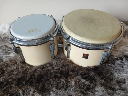 Vintage premier bongos 8 - premier, 6