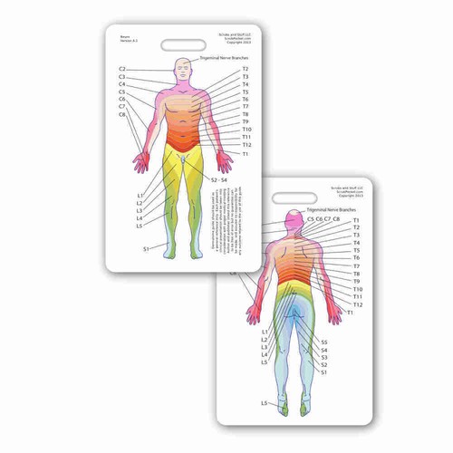 Neuro dermatome vertical badge - dermatome,