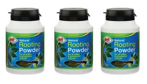 Natural rooting powder for - natural,