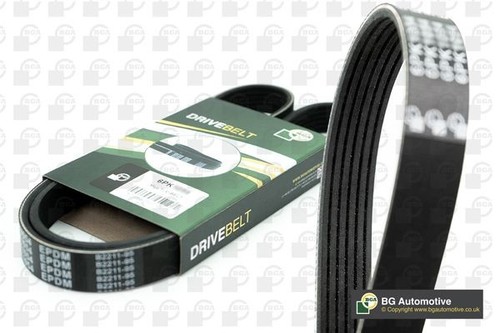 Bga multi drive belt for - drive,
