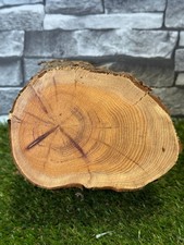 20 Year Air Dried Yew Wood