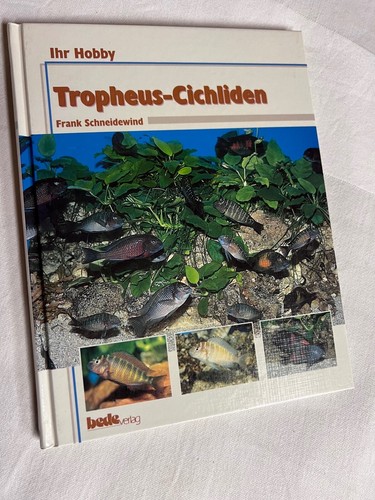 Tropheus cichliden von - tropheus-cichliden, frank