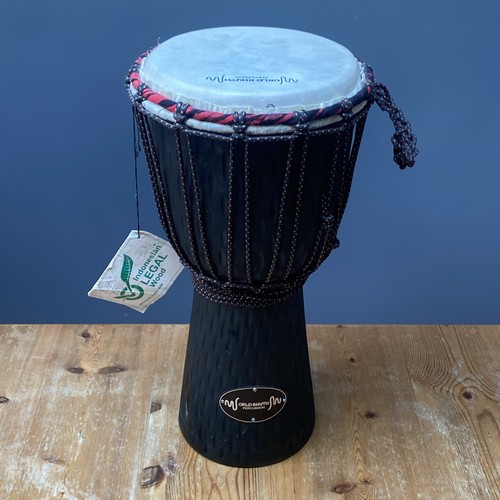 World rhythm inch djembe - world,