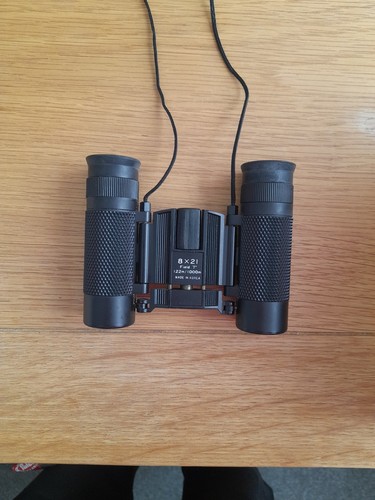 Compact binoculars 21 - 8,