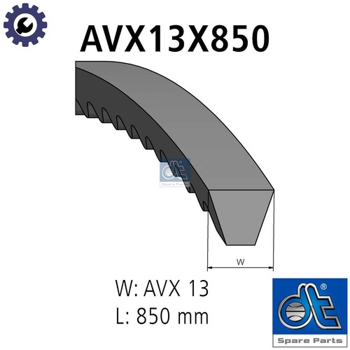 Vbelt 34503 for alfa romeo - for,