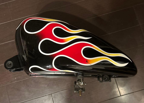 Harley davidson genuine gas - davidson,