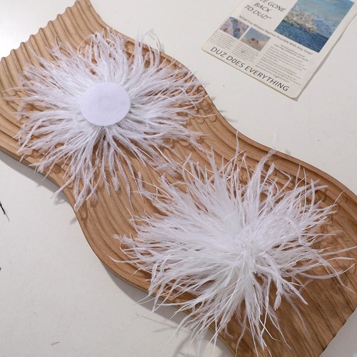 Fluffy ostrich feather - ostrich,