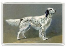 ENGLISH SETTER DOG ART PRINT