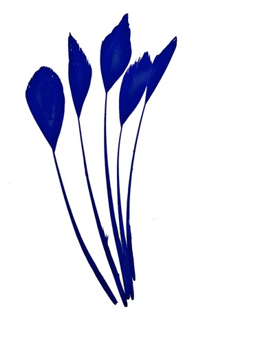Long fascinators feathers - long,