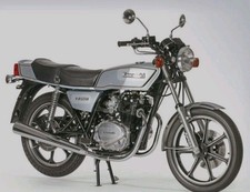 Kawasaki Z250 B1/2  79 Engine Set A2 HAND POLISHED Stainless Cap Heads.