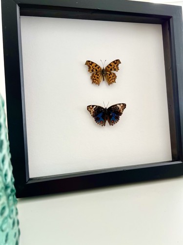 Two mounted and - two,