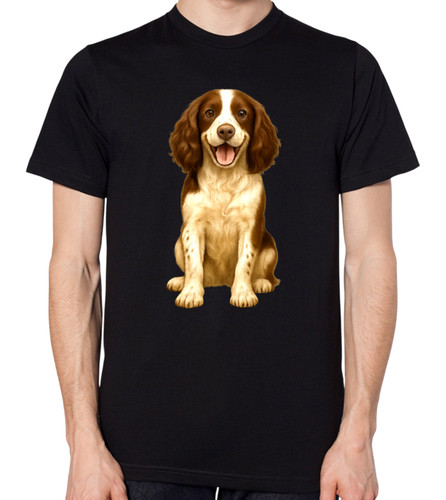 Springer spaniel dog - spaniel,