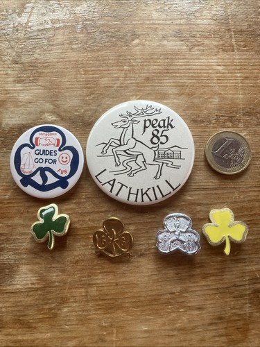 Girl guide and brownie - guide, badges